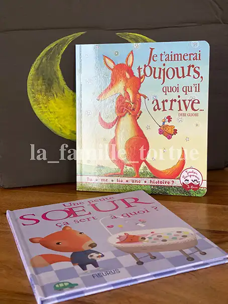 Boîte à grand frère 5 - La Famille Tortue