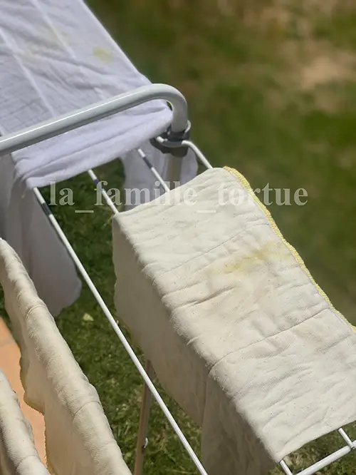 Couches lavables avant - La Famille Tortue