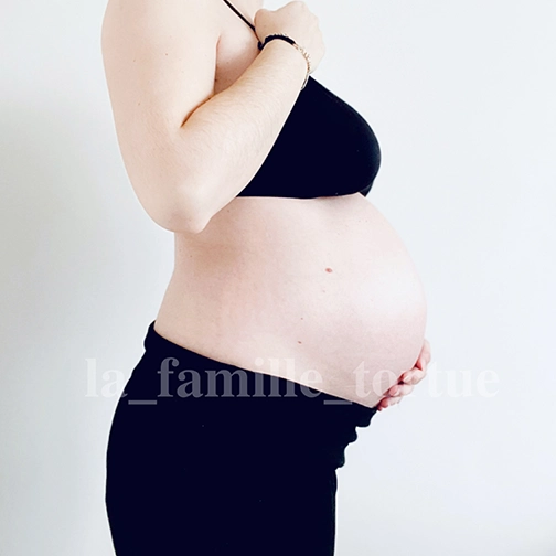 Retour 7ème mois de grossesse - La Famille Tortue