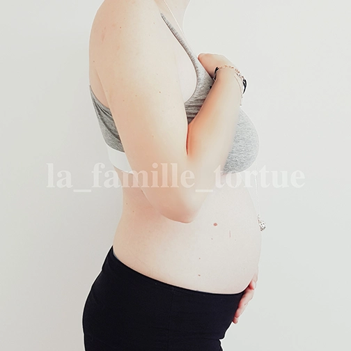 Ventre 3ème mois de grossesse - La Famille Tortue