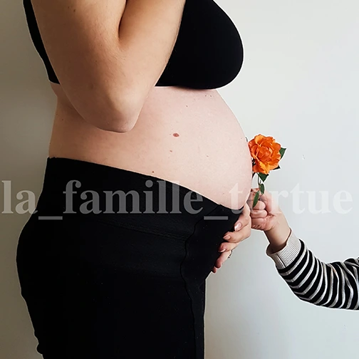 Ventre 4ème mois de grossesse - La Famille Tortue