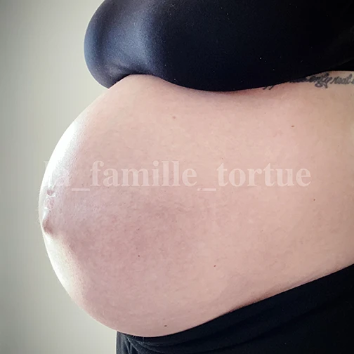 Ventre 9ème mois de grossesse 2 - La Famille Tortue