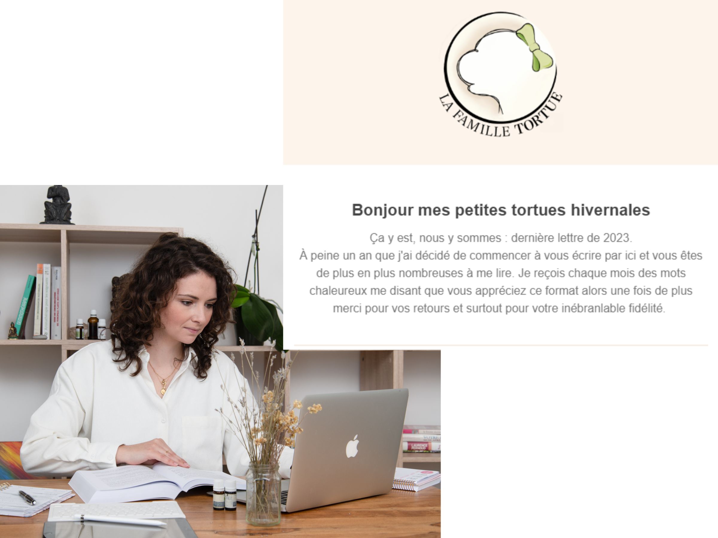la-famille-tortue-newsletter